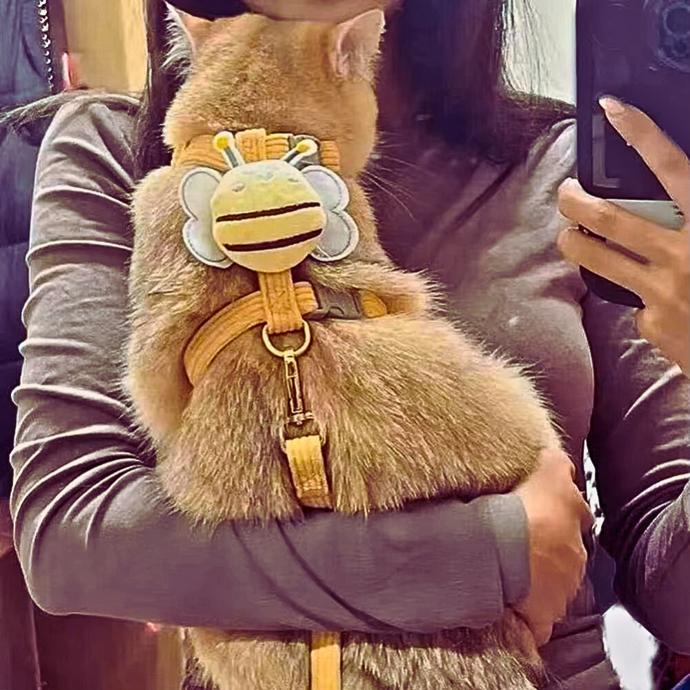 BeeHug Harness