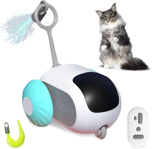 SmartPounce Toy