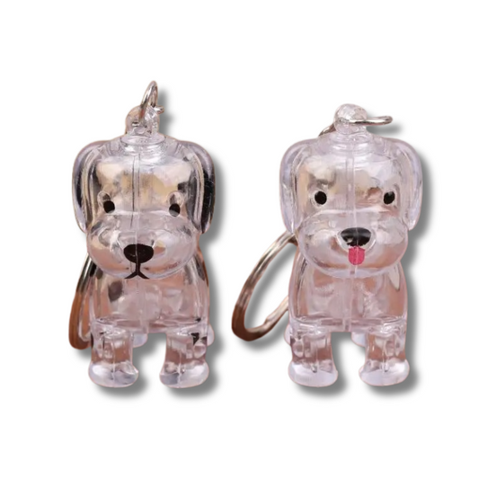 PawEver Keepsake Keychain